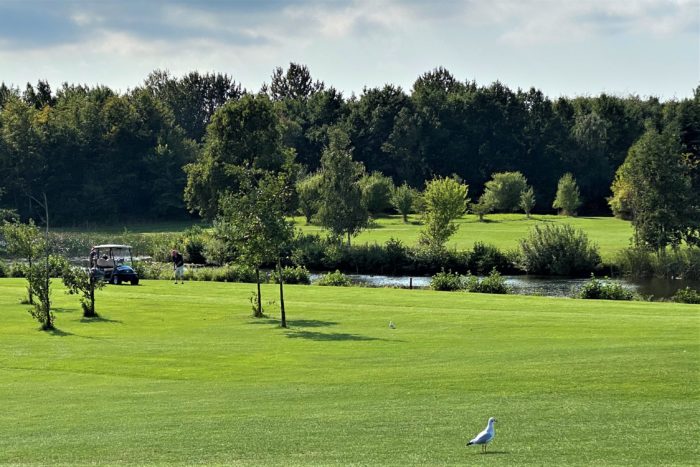 En oase forstaden Hjortespring - Golfbladet.com